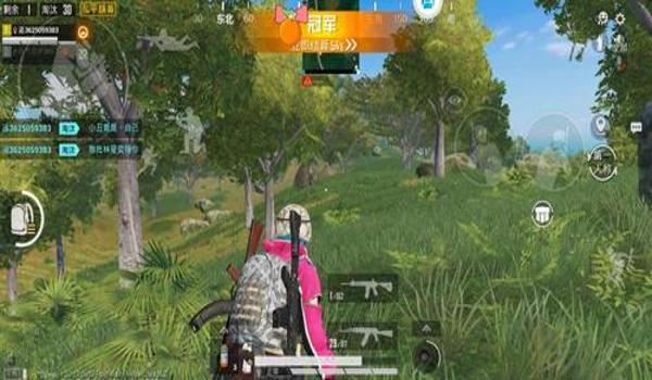 和平精英有没有透视辅助