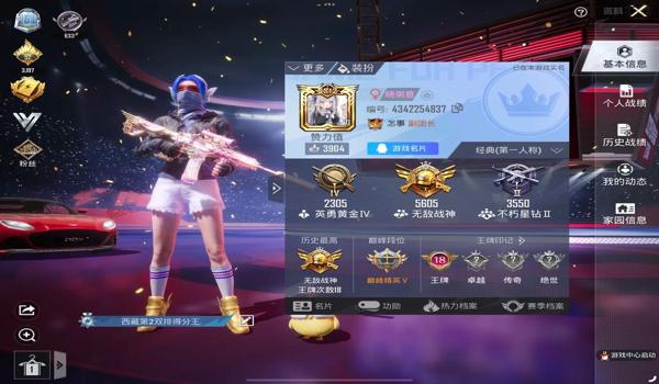 和平精英有什么辅助功能