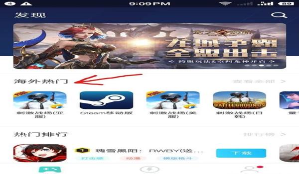 和平精英国际服辅助分享