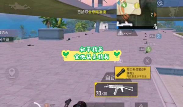 和平精英最新辅助官网