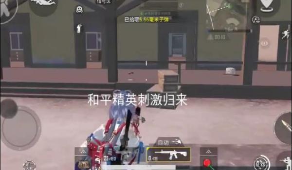 永不封号的和平精英辅助