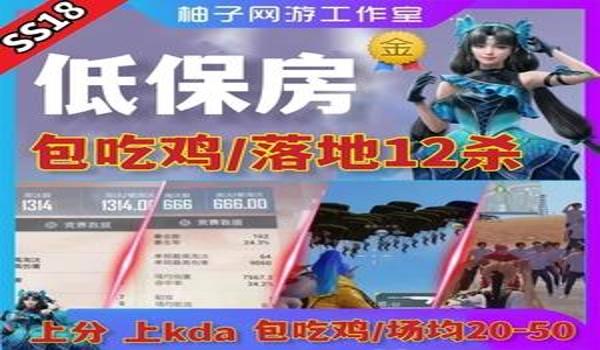 和平精英大盘鸡辅助卡密