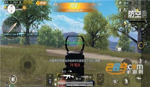 辅助瞄准和平精英职业选手