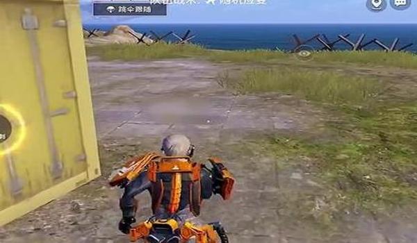 和平精英小海豚辅助怎么开