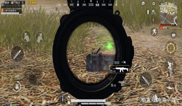 和平精英辅助瞄准试什么