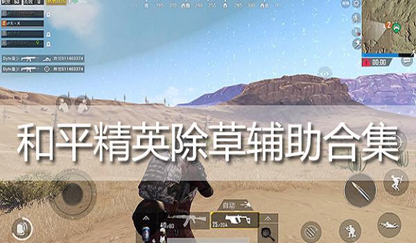 和平精英如何快速获得辅助