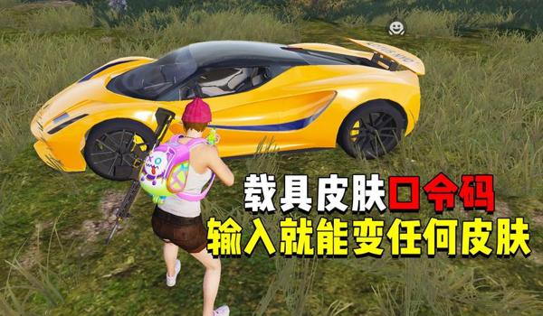 和平精英孙尚香辅助软件