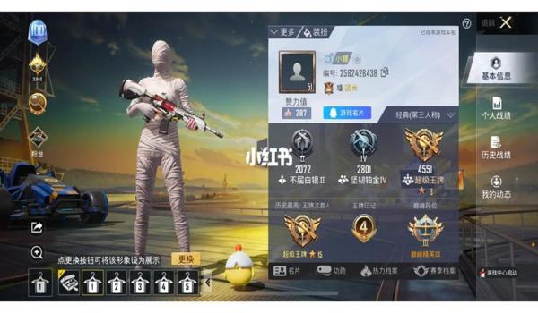 tt国服和平精英辅助