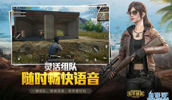 和平精英辅助免费网址大全