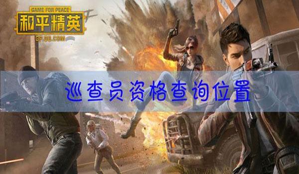 和平精英巡查辅助软件