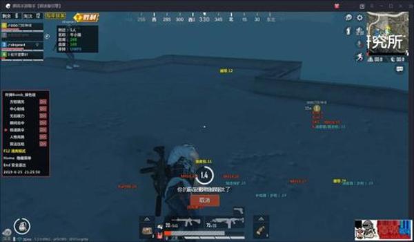 和平精英大仙辅助教学下载