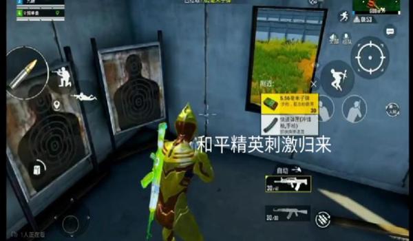 和平精英游戏辅助式装备