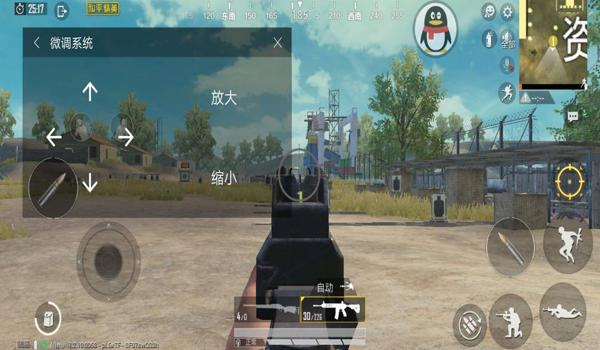 和平精英神罚辅助使用方法