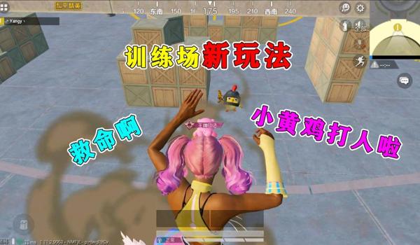 小黄鸡和平精英辅助下载