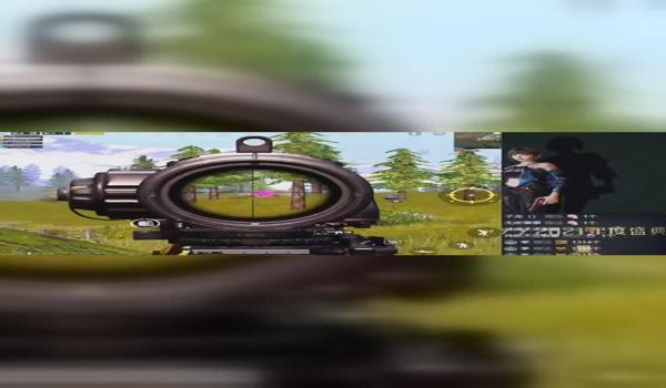 和平精英笨笨的辅助是谁