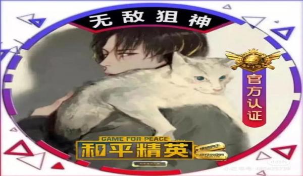 和平精英辅助头像是天空