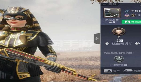 和平精英守护者辅助软件