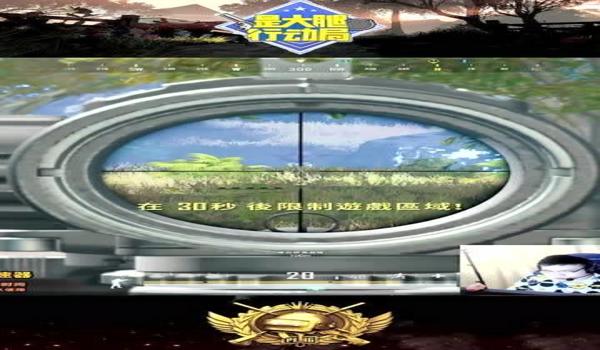 和平精英盲狙辅助器官方