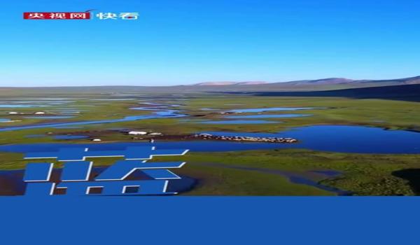 和平精英史蒂夫辅助卡密