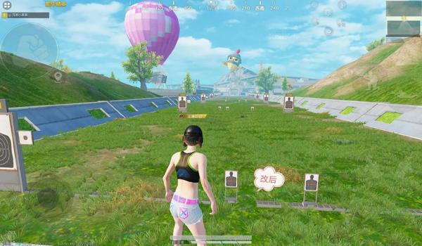 和平精英超广角辅助软件