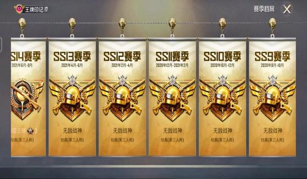 和平精英辅助功能是哪个