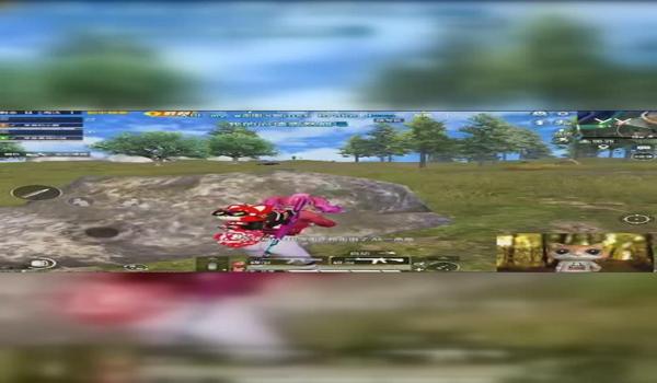 小柴柴辅助和平精英怎么开