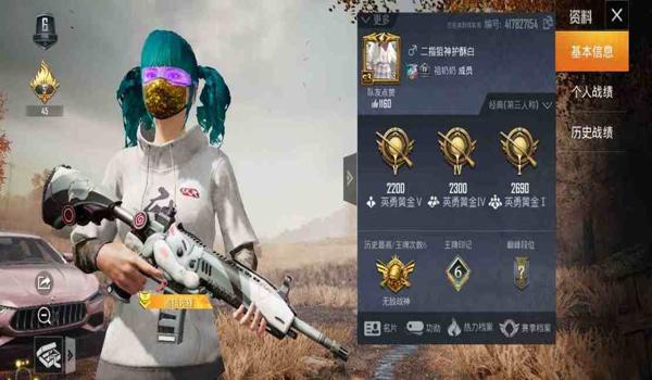 和平精英波比辅助怎么用