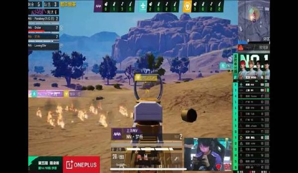 和平精英虐神传说辅助视频