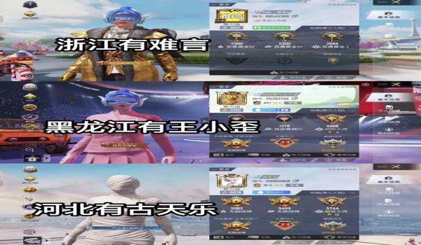 和平精英有哪些好的辅助