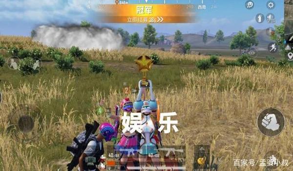 和平精英有没有吃鸡辅助