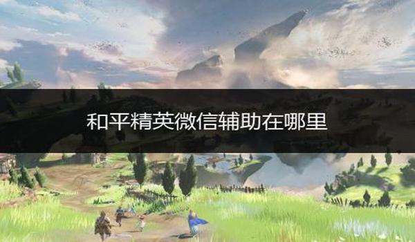 和平精英微信辅助软件下载