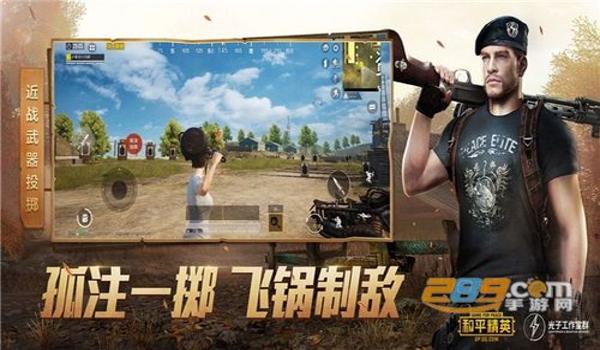 比较稳定和平精英辅助