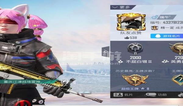 和平精英神威辅助下载安装