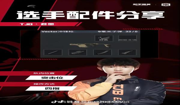 和平精英真正能用的辅助