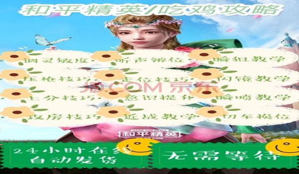 和平精英24小时辅助