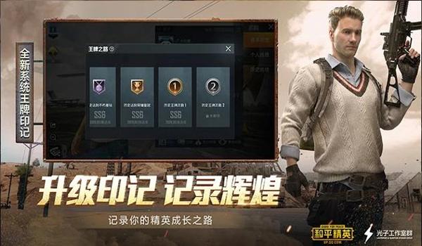 和平精英辅助器推荐华为