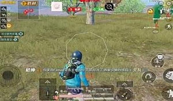 和平精英鸡腿辅助在那里