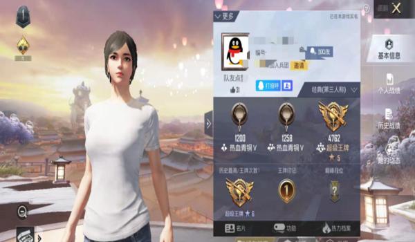 和平精英泰迪辅助怎么用