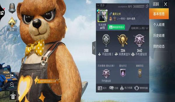 和平精英小黄鸭辅助卡密