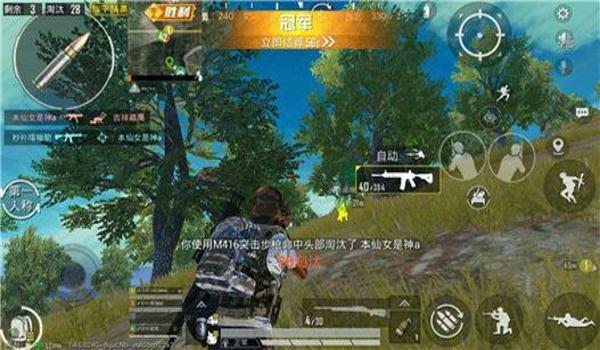 和平精英狐仙辅助跑路了