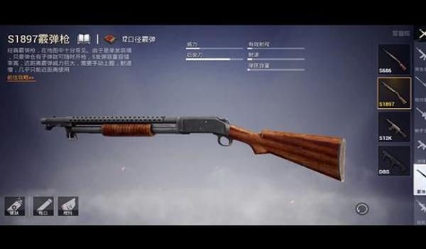 和平精英龙王辅助怎么用