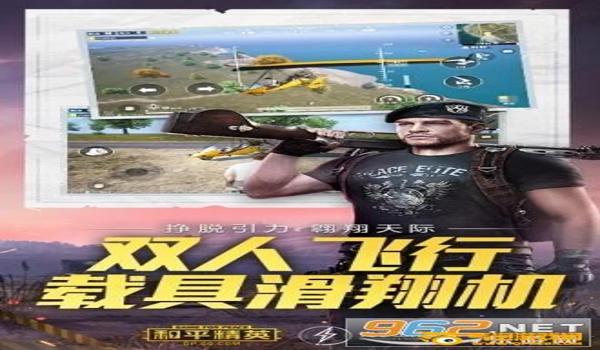 和平精英上大号的辅助