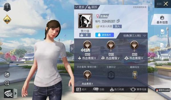 和平精英辅助加什么好看