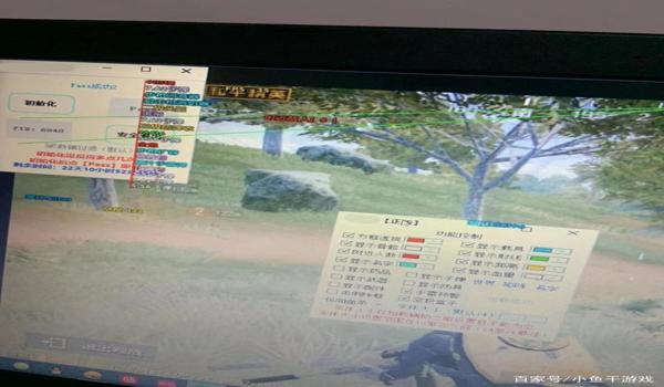 和平精英最新观透辅助