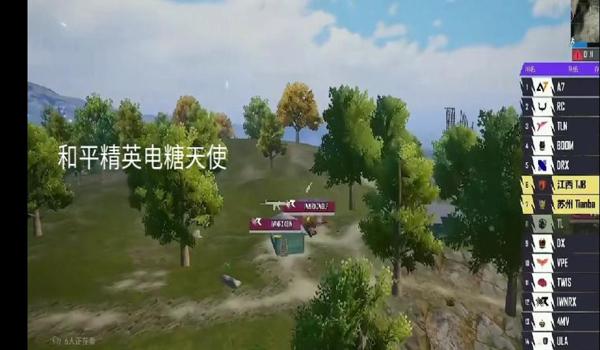 和平精英手游最新辅助