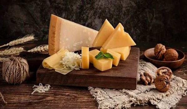 和平精英电摇辅助器下载