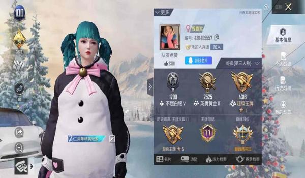 和平精英陪玩用辅助器吗