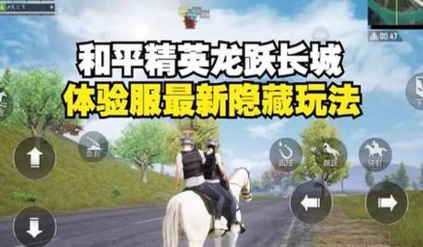 和平精英辅助隐藏教程视频