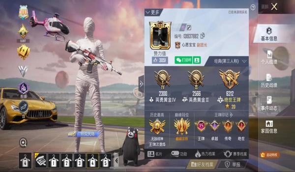 游戏辅助群和平精英下载