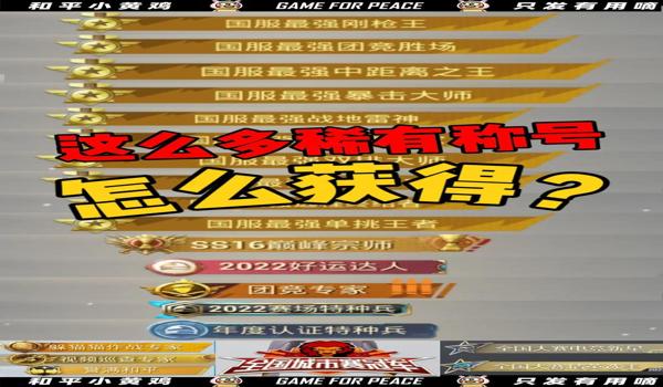 和平精英比较稀有的辅助